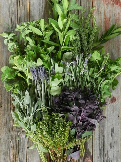 CUT ASSORTED HERBS